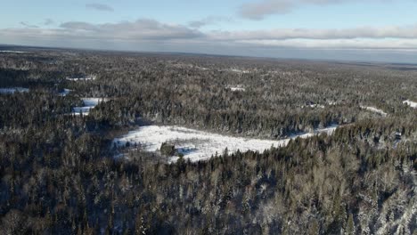 Luftaufnahme-Des-Winterlandschaftswaldes-An-Der-Nordküste-Von-Minnesota
