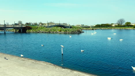 Southport-Marine-Lake,England-Marina-and-boats-powered-and-paddling-boat-also-speedboat