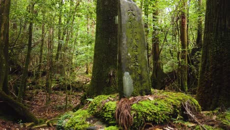 Bosque-Mononoke,-Yakushima,-Antiguo-Monumento-De-Piedra-Cubierto-De-Musgo