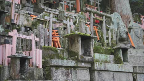 Santuario-Fushimi-Inari-Cubierto-De-Musgo,-Kyoto-Japón