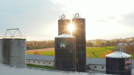 Silos-store-grain,-forage-to-feed-dairy-cows-on-farm