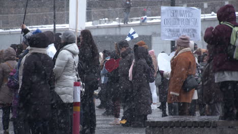 Toma-Amplia-De-Personas-De-Pie-En-Las-Protestas-En-Helsinki-Escuchando-Discursos-Con-Banderas-Y-Pancartas,-Día-Frío-Y-Nevado