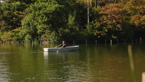 Hombre-Remando-Un-Bote-En-El-Lago-En-El-Parque-Senzokuike-En-Un-Día-Soleado-En-Tokio,-Japón