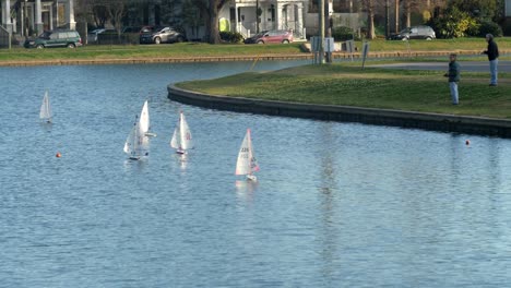 Männer-Rennen-Modell-Ferngesteuerte-Segelboote-Bayou-St-John-New-Orleans