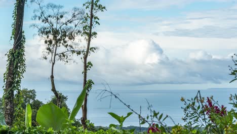 Wunderschöner-Zeitraffer-In-Costa-Rica-Mit-Wolken-Und-Wald