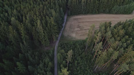 Slow-drone-flight-in-nature-over-road-in-dark-forest-in-summer,-Czech-Republic