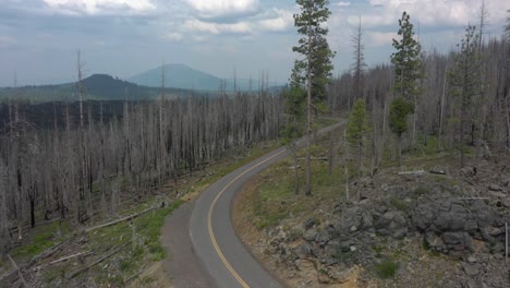 Aerial-view-of-highway-in-burnt-forest
