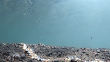 Statische-Unterwasseraufnahme-Eines-Kindes,-Das-Mit-Einem-Orangefarbenen-Schwimmgerät-An-Der-Kamera-Vorbeiläuft-–-Aufgenommen-Vom-Sandigen-Grund-Des-Eiskalten-Gletschersees-Lovatnet-In-Norwegen-–-Wunderschöne-Glänzende-Sonnenreflexionen-Von-Der-Oberfläche