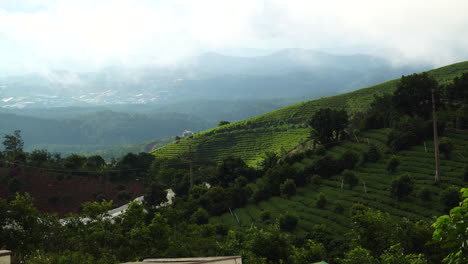 Düsteres-Monsunwetter-Teeplantage-Da-Lat-Vietnam-Asien