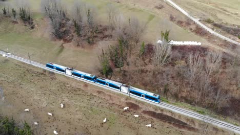 Antenne:-Blaue-Zahnradbahn-In-Den-Pyrenäen,-Die-An-Wiesen-Vorbeifährt