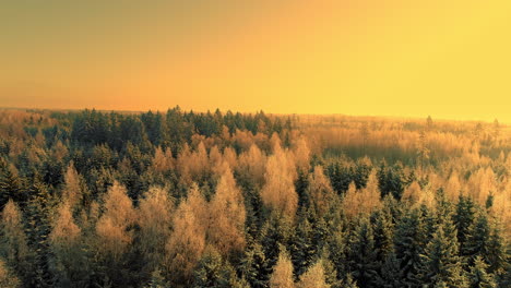 Atemberaubender-Goldener-Sonnenaufgang-über-Der-Schneebedeckten-Baltischen-Landschaft;-Antenne