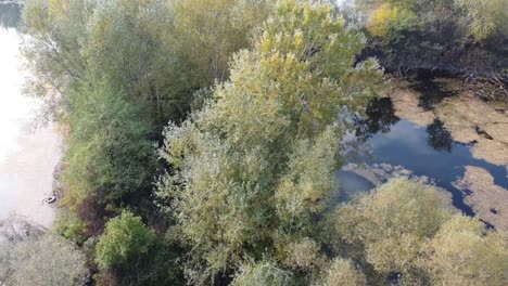 Sumpfsee-Mit-Bäumen.-Drohne