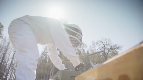 BEEKEEPING---Beekeeper-removing-a-frame-for-inspection,-low-angle-in-slow-motion
