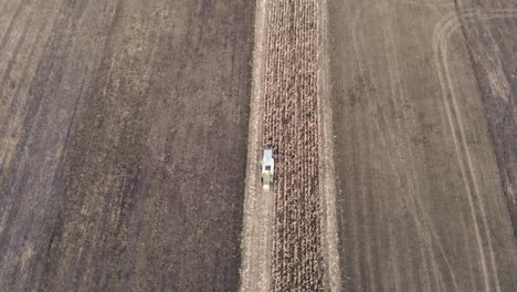 Combine-Harvester-Harvests-Corn-In-The-Field---aerial-top-down