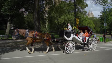 New-York-City-central-park-attraction,-Tourists-take-a-Horse-carriage-Ride---Motion-shot
