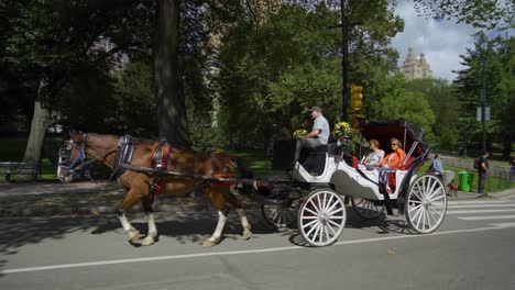 Atracción-Del-Parque-Central-De-La-Ciudad-De-Nueva-York,-Los-Turistas-Toman-Un-Paseo-En-Carruaje-De-Caballos---Toma-De-Movimiento