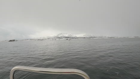 Seeadler,-Auch-Seeadler-Genannt,-Taucht-An-Einem-Bewölkten-Tag-In-Norwegen-Von-Der-Seite-Des-Bootes-Herab,-Mit-Einigen-Wunderschönen-Schneebedeckten-Bergen-Im-Hintergrund
