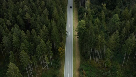 Wide-forest-landscape-with-a-leading-street-to-the-horizon-with-a-car,-driving-fast-along-the-country-road,-concept-for-traveling-through-the-nature