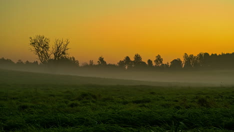 Fast-movement-shot-of-fog-blowing-mist-passing-by-the-green-grasslands-with-golden-sunset-in-the-backgound