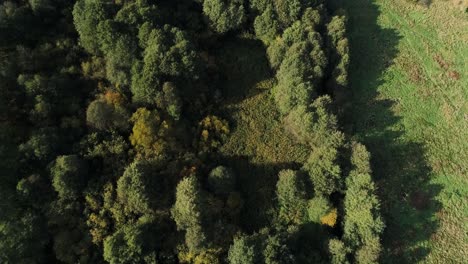Río-Salvaje-Cubierto-De-árboles-Y-Arbustos-Cerca-De-Prados-Norte-De-Polonia-Europa