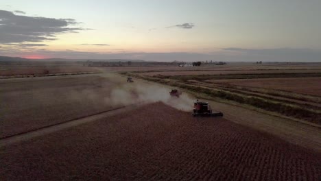 Farmer-uses-combine-to-harvest-wheat-barley-grain-soy-or-oat-field-in-fall-autumn-season-shot-with-aerial-drone-video-stock-16