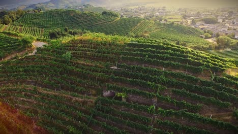 Aerial-view-of-the-Prosecco-hills-in-Valdobbiadene,-Italian-wine-region-with-drone
