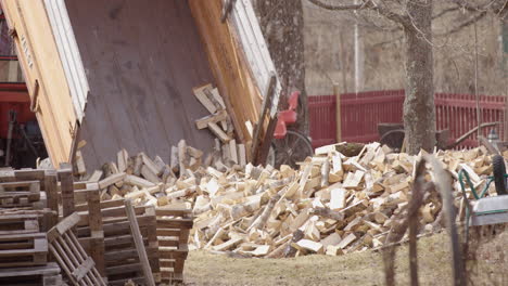 Beautiful-split-logs-for-the-fire-are-delivered