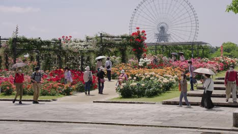 Osaka-Expo-Park-Rosengarten-An-Einem-Sonnigen-Tag,-Während-Die-Menschen-Blumen-Genießen