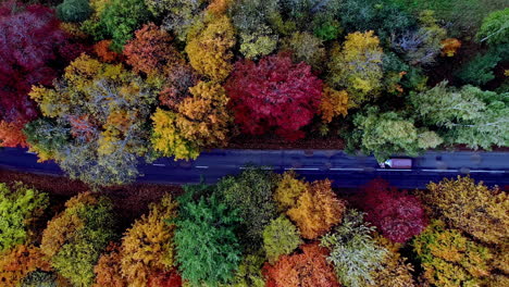 Aerial-top-down-shot-of-car-driving-on-rural-road-surrounded-by-colorful-trees-on-autumn-day