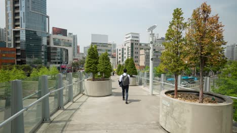 Se-Plantan-árboles-En-El-Parque-Elevado-Sky-Seoullo-7017-En-Seúl,-Corea-Del-Sur-Con-Gente-Caminando