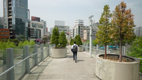 Trees-are-planted-on-the-Seoullo-7017-elevated-sky-park-in-Seoul,-South-Korea-with-people-walking-by