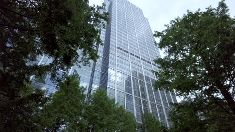 Looking-Up-At-Office-Building-From-Jubilee-Park-In-Between-Tree-Branches-At-Canary-Wharf