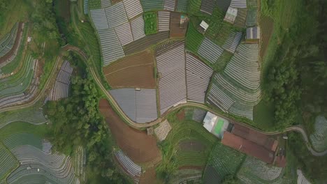 Luftüberführung-Schöne-Gemüseplantage-In-Verschiedenen-Farben-Und-Mustern-Während-Des-Sonnigen-Tages---Zentrales-Java,-Mount-Sumbing