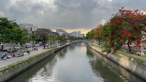 Blühende-Bäume-Am-Bangkok-Kanal-An-Einem-Sonnigen-Tag