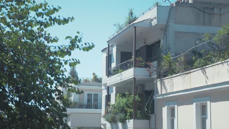 Eloquent-looking-apartments-with-plants-in-suburban-Athens