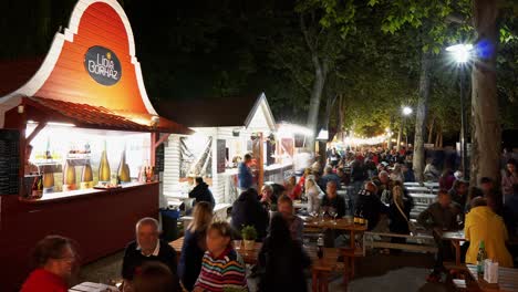 Timalapse-video-from-Hungary,-Balatonfured-annual-traditional-wine-festival-with-a-large-selection-of-wineries-and-crowd