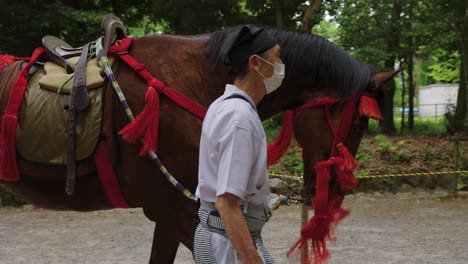 Yabusame-Trainer-leading-horse-to-archery-event-at-Omi-Jingu-Shrine