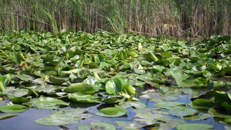 Boot-Mit-Touristen-Auf-Dem-Wilden-Fluss