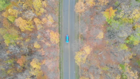 Top-down-aerial-shot-over-a-back-road-2-lane-paved-road-in-an-autumn-coloured-forest-with-a-single-blue-car-going-from-top-to-bottom-of-the-view
