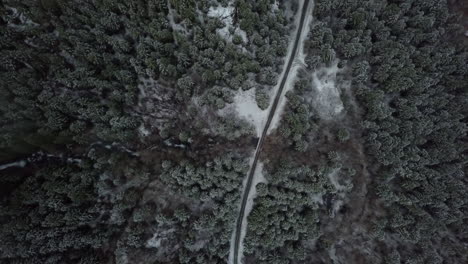 High-angle-aerial-shot-of-road-in-a-frozen-forest,-Vancouver-Island,-Canada