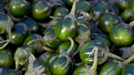 Berenjena-Escarlata,-Solanum-Gilo,-A-La-Venta-En-El-Mercado-Libre,-Plan-Vertical