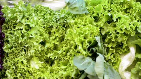 Verschiedene-Arten-Frischer-Salate-Werden-Im-Lebensmittelgeschäft-Zum-Verkauf-Angeboten