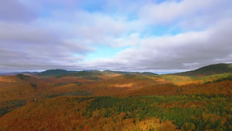 Luftaufnahmen-über-Einem-Immergrünen-Bergrücken-In-Einem-Goldenen-Herbstwald