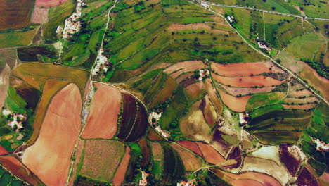 Aerial-view-of-agricultural-crops-growing-on-farmland,-India