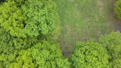 Bosque-Verde-Mixto-Muy-Denso---Vista-Desde-Arriba,-Imágenes-Aéreas-Sin-Espacios,-Muy-Estrechas