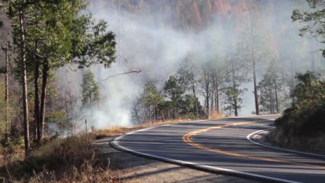 Forest-fire-burning-along-side-a-road-in-California