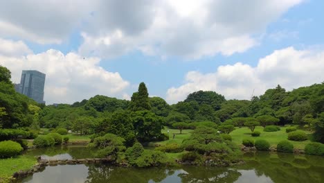 Neigung,-Blick-Auf-Wolken-Und-Bäume-Im-Yoyogi-Park