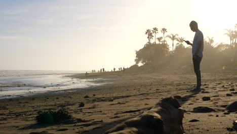 Ein-Junger-Mann,-Der-Bei-Sonnenuntergang-Mit-Seinem-Smartphone-An-Einem-Malerischen-Strand-In-Kalifornien-Spaziert,-Mit-Menschen-Und-Palmen-Als-Silhouette