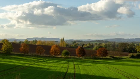 Still-tripod-timelapse-of-Autumn-leaves-and-green-fields