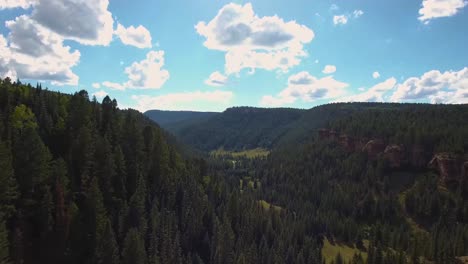 AERIAL:-Drone-shot-pushing-towards-a-deep-valley-filled-with-evergreen-trees